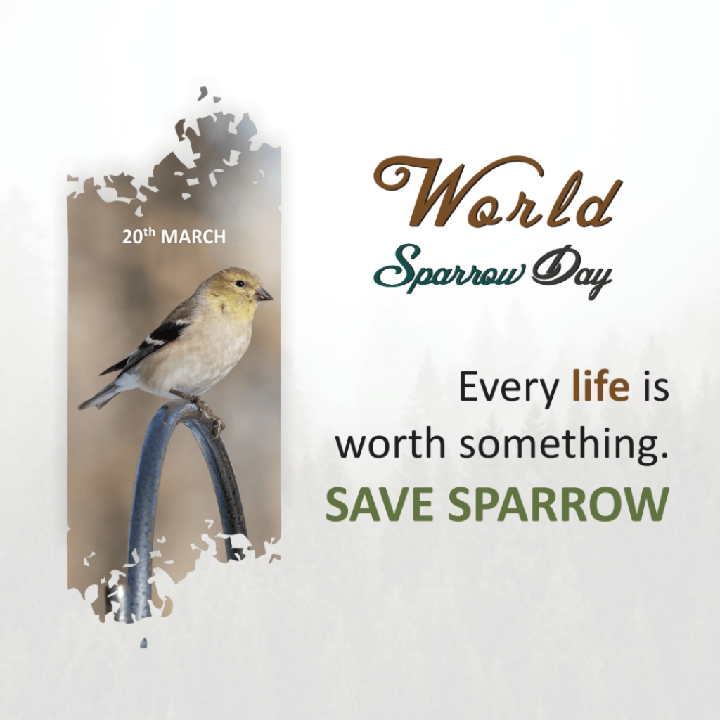 World Sparrow Day: Celebrating Our Feathered Urban Partners | Download Poster 7 image 2024 Mar 18 17 50 02 World Sparrow Day